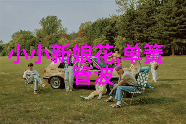 黄梅戏音乐语言的拓展与解放