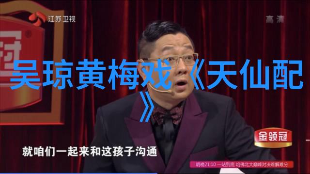 黄梅戏贵妃恩怨