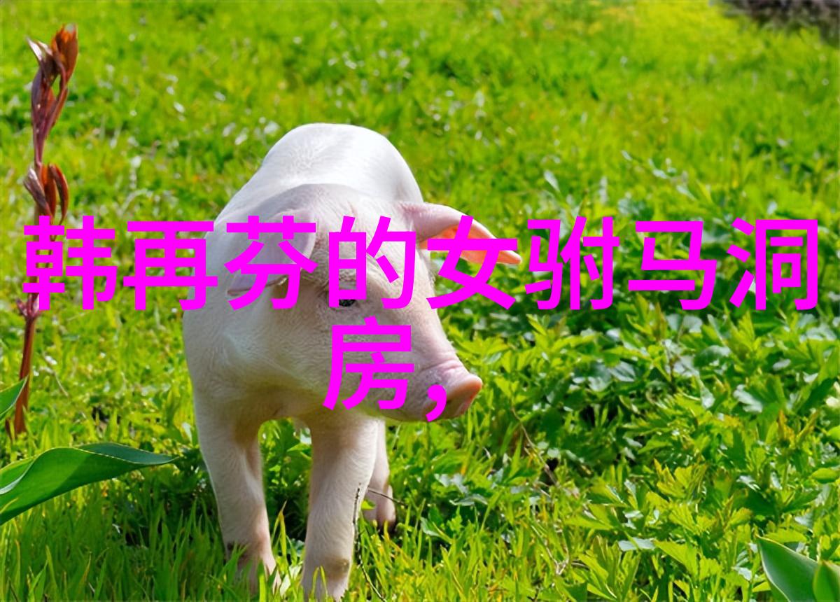 黄梅戏演员戎慧介绍