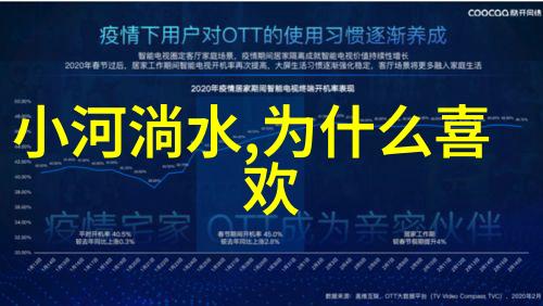 黄梅戏艺术大师严凤英专题研讨会发言