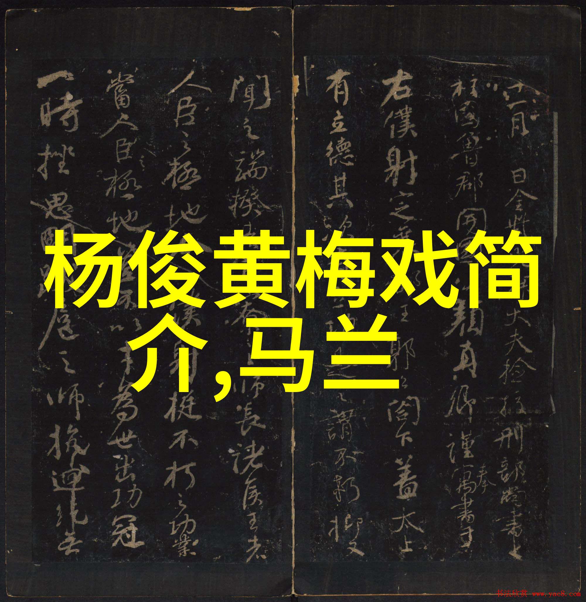 仝婷 黄梅戏旦行演员 仝婷
