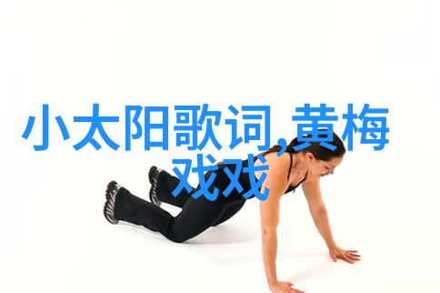 严凤英永远和黄梅戏同在纪念严凤英诞辰七十周年