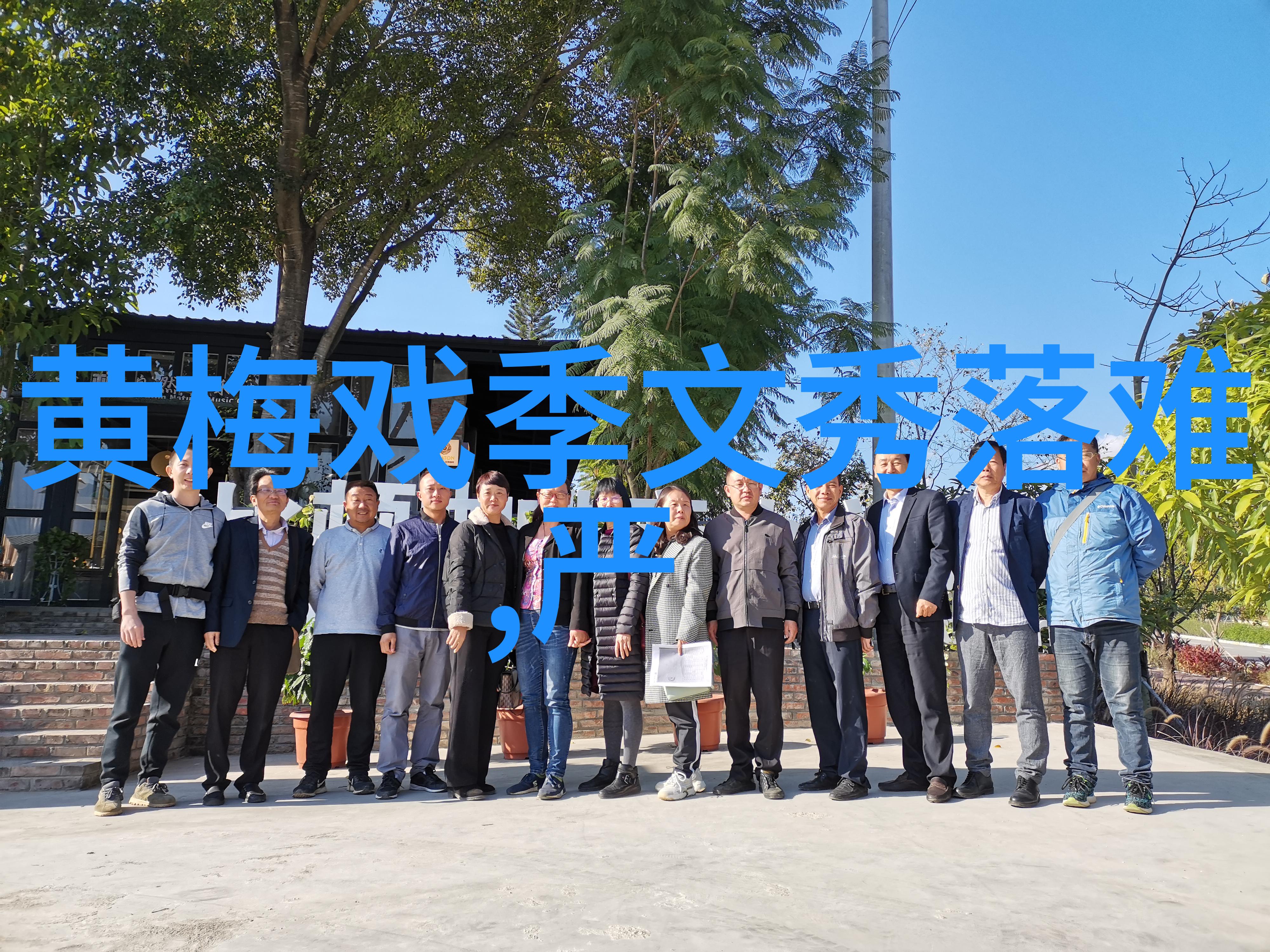 黄梅戏演员汪林林介绍