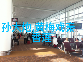 黄梅戏演员夏承平介绍