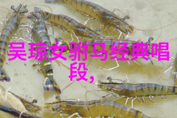 黄梅戏血染袍红