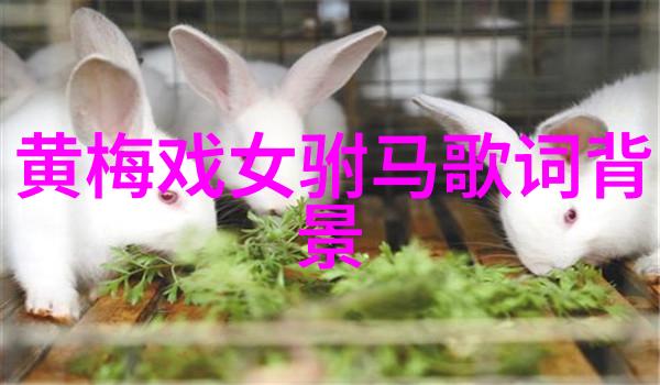 2022云上观剧新春特辑即将到来
