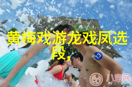 黄梅戏君子好逑