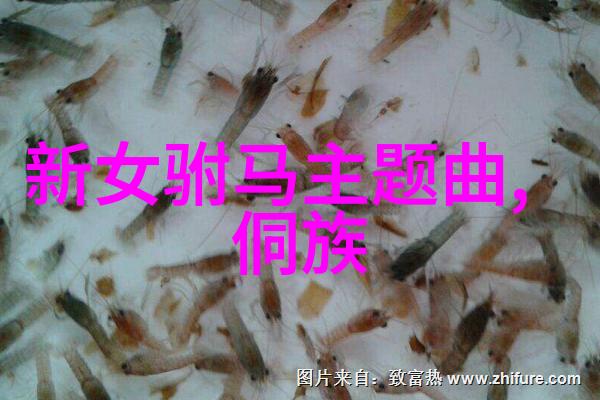 湖北省戏曲艺术剧院春节楚剧黄梅戏演出信息