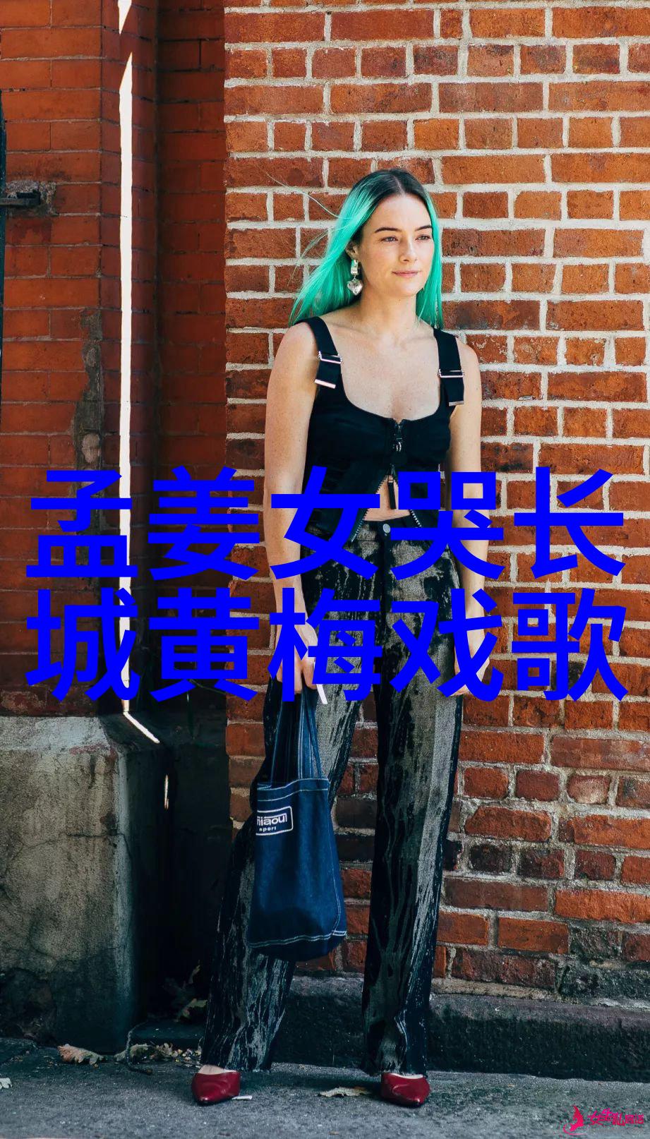 黄梅戏表演艺术家潘璟琍