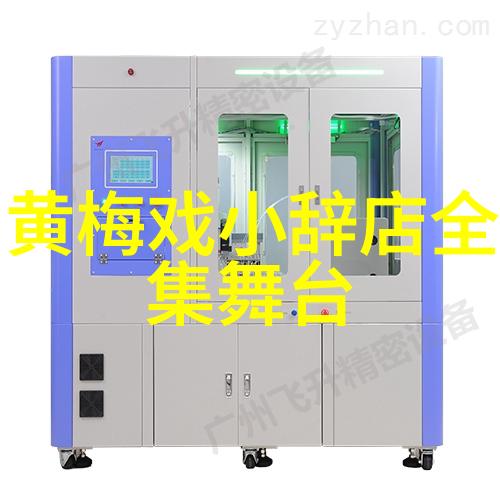 黄梅戏打金枝