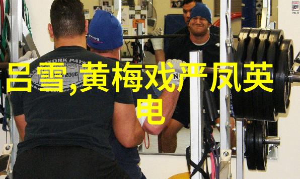 黄梅戏演员梅院军介绍
