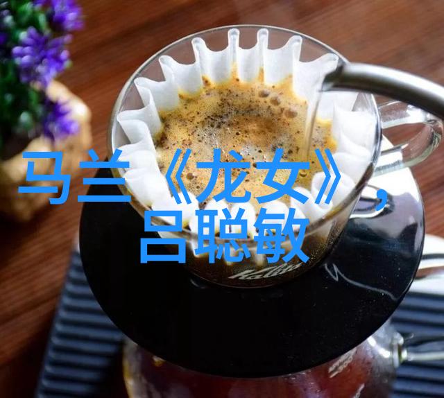 韩再芬 黄梅戏旦行演员 韩再芬